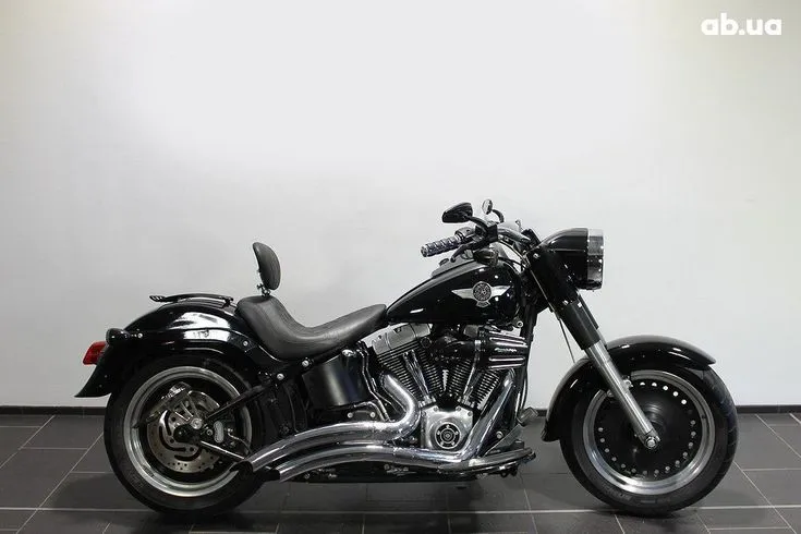 Harley-Davidson FLSTF Image 4